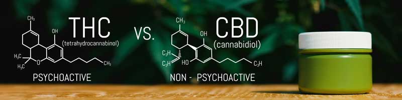 thc vs cbd