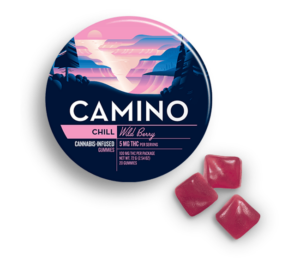 100mg 20pk Gummies | Wild Berry | Camino