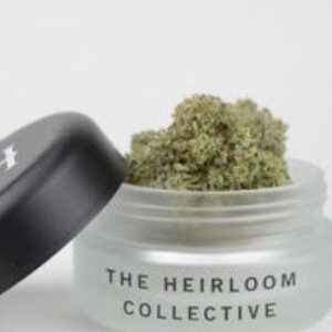 3.5g | Orange Kush Cake | The Heirloom Collective