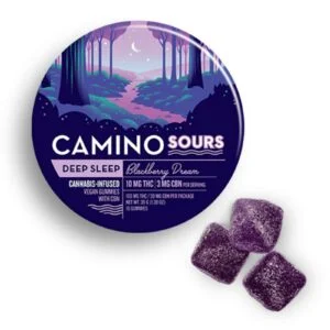 100mg 20pk Gummies | 1:1:1 Blackberry Dream | Camino