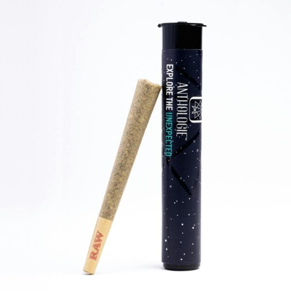 1g Pre-Roll | Acid Dough | Anthologie