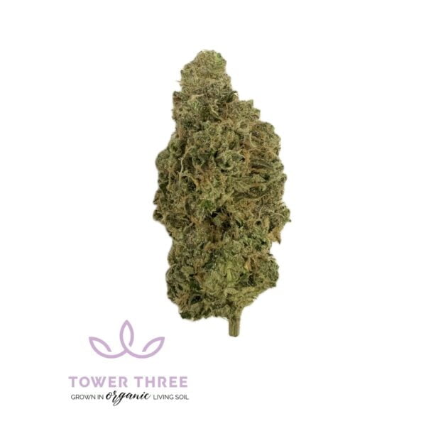 3.5g | MSG | Tower Three