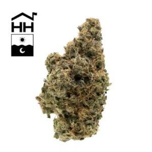 3.5g | Black Maple | Harbor House