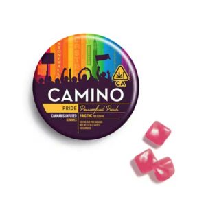 100mg 20pk Gummies | Pride Passionfruit Punch | Camino