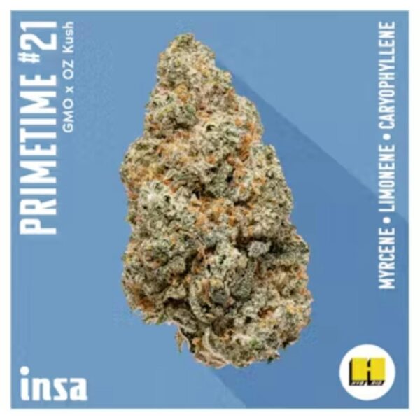 3.5g | Primetime #21 | INSA