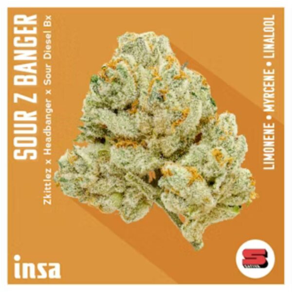 3.5g | Sour Z Banger | INSA