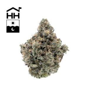 3.5g | Orange 43 | Harbor House