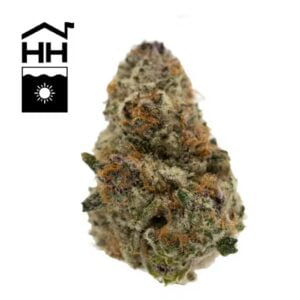 3.5g | Super Boof x Albarino #3 | Harbor House