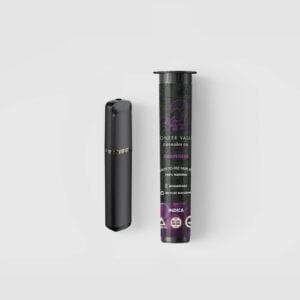 750mg Disposable Vape | Grapeness | Pioneer Valley