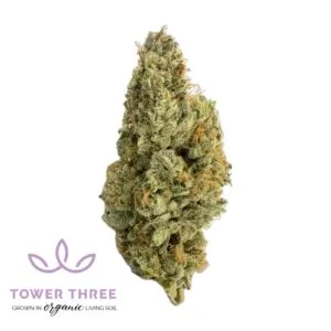 3.5g | Magik Milk | Tower Three