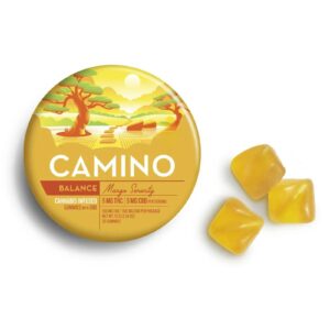 100mg 20pk Gummies | 1:1 Mango | Camino