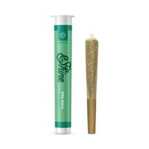 1g Pre-Roll | Runtz Cake | Roll & Shine