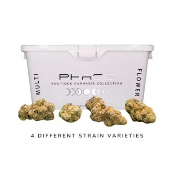 14g | Phase Cube - Variety Buds | Phase