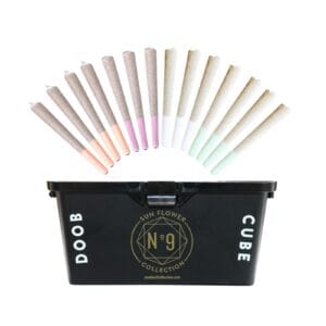 14pk 1g Pre-Rolls | Doob Cube Variety Pack | Coastal Cultivars