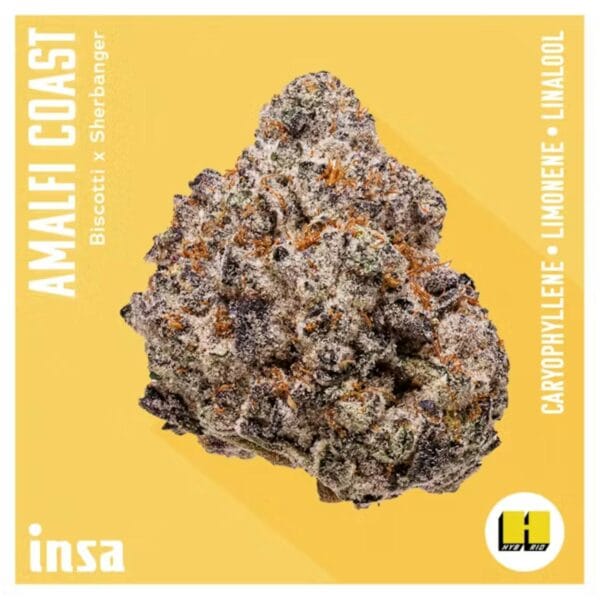 3.5g | Amalfi Coast | INSA