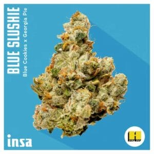 3.5g | Blue Slushie | INSA