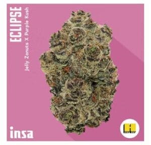 3.5g | Eclipse | INSA