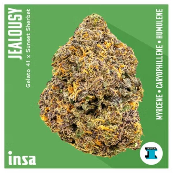 3.5g | Jealousy | INSA