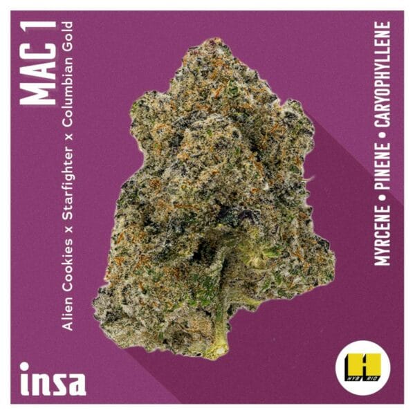 3.5g | MAC 1 | INSA