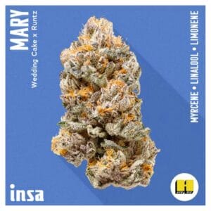 3.5g | Mary | INSA