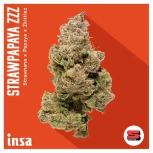 3.5g | Strawpapaya ZZZ | INSA