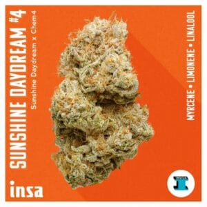 3.5g | Sunshine Daydream #4 | INSA