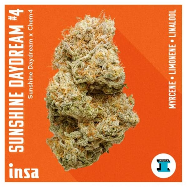 3.5g | Sunshine Daydream #4 | INSA