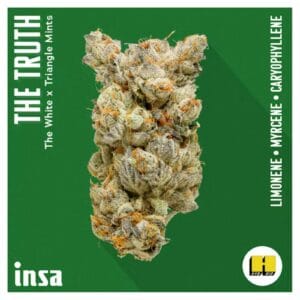 3.5g | The Truth | INSA