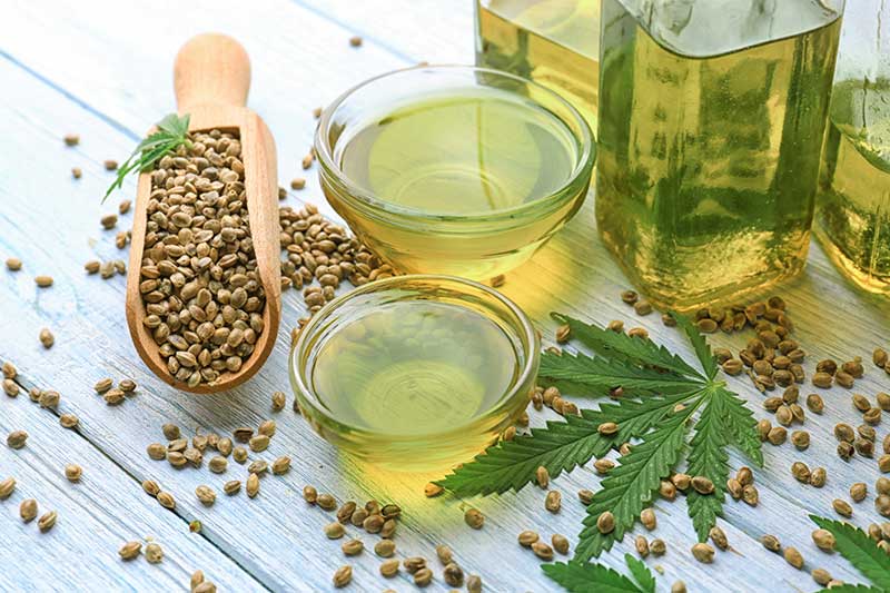 CBD vs Hemp Oil