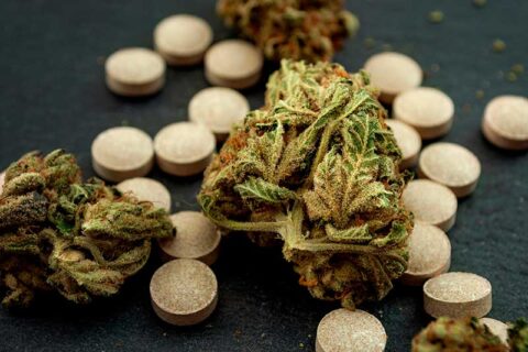 Contender #2: CBD Gummies